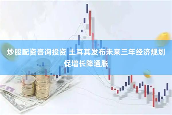 炒股配资咨询投资 土耳其发布未来三年经济规划促增长降通胀