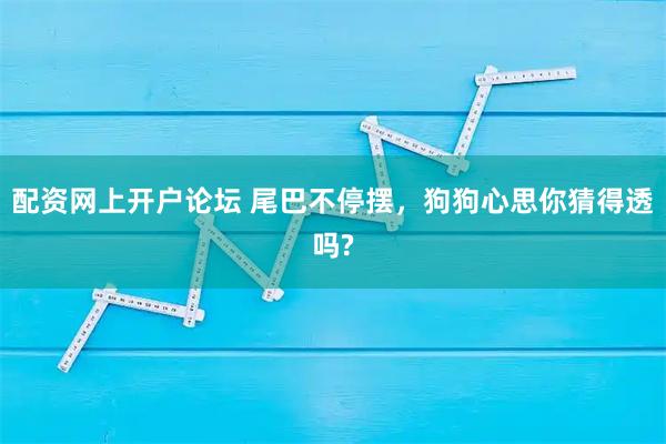 配资网上开户论坛 尾巴不停摆，狗狗心思你猜得透吗?