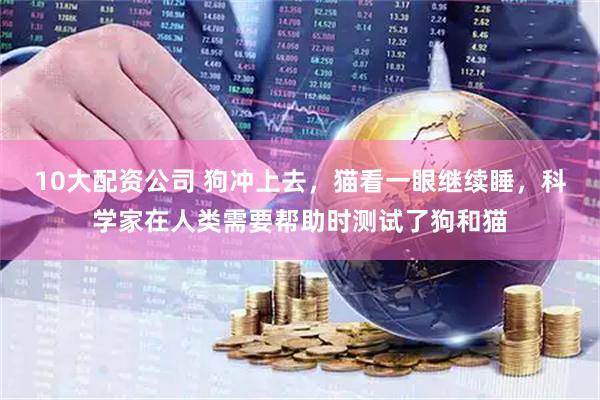 10大配资公司 狗冲上去，猫看一眼继续睡，科学家在人类需要帮助时测试了狗和猫