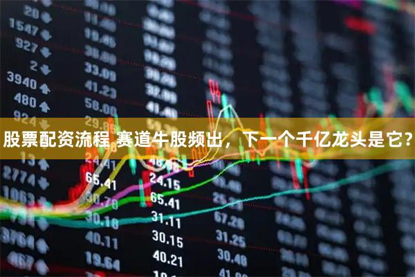 股票配资流程 赛道牛股频出，下一个千亿龙头是它？