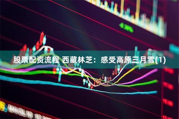 股票配资流程 西藏林芝：感受高原三月雪(1)