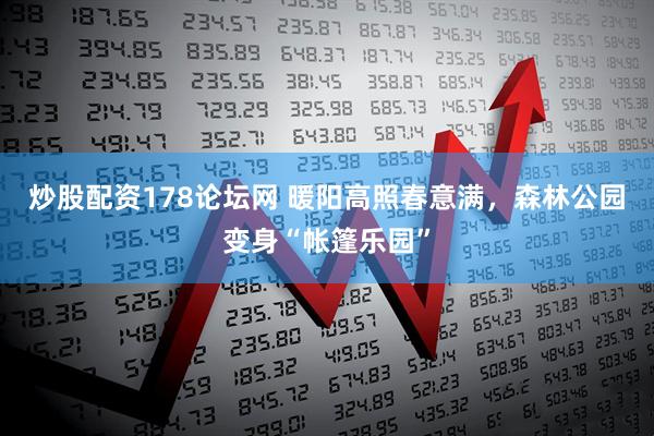 炒股配资178论坛网 暖阳高照春意满，森林公园变身“帐篷乐园”